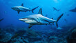 Graceful Sharks Patrolling Ocean Depths. Generative Ai