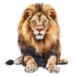 © mosio - Watercolor vector of a lion, isolated on a white background, design art, drawing clipart, Illustration painting, Graphic logo, lion vector