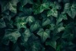 Close-up of Agave univittata plants dark green leaves. Abstract natural green leaf wallpaper pattern texture background.. Beautiful simple AI generated image in 4K, unique.
