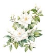 A beautiful watercolor painting of a magnolia flower