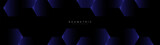 Fototapeta  - Abstract blue and purple hexagon background. Futuristic digital hi-technology horizontal banner. Vector
