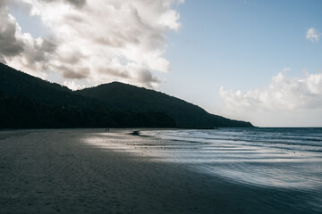 Wall Mural - cape tribulation, far north queensland