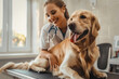 © Moon Story - A woman is petting a dog in a veterinary clinic. The dog is wagging its tail and he is happy. The woman is wearing a white lab coat and Female is a veterinarian