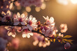 Beautiful blooming sakura tree branches. Spring nature. Pink flowers macro. Soft morning light. Japanese cherry. Generative AI