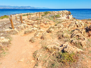 Canvas Print - Landscape in the Cap d'Antibes, South of France
