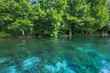 Silver River, Silver Springs State Park, Florida