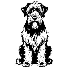 Poster - Black Russian Terrier sitting hand drawn animal illustration, transparent background