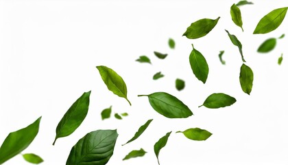 Wall Mural - collection of random green leaves falling in the air isolated on white background