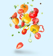 Different fresh vegetables in air on light background