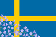 Flag of Sweden background decoration with flowers Campanula rotundifolia or harebell  (Liten blåklocka, blåklocka)  border frame for Sweden National festival vector illustration.  

