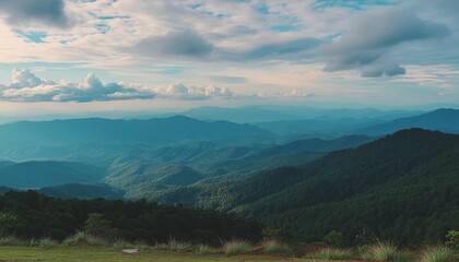 Wall Mural - amazing wild nature view of layer of mountain forest landscape with cloudy sky nature outdoor travel background