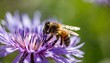 close up of a bee on purple flower marco nature beauty honeybee close up generative ai