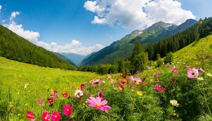 Wall Mural - a summer valley with flowers and trees panoramic drawing