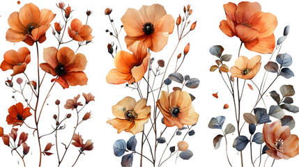 Wall Mural - Watercolor Fall Dry Flowers Clipart Isolated PNG