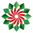 hungarian flag flower, white background