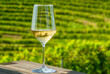 Close-up of a glass of white wine on a wooden table with green vineyards view