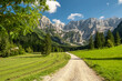 Idyllic green valley with Kamnik-Savinja Alps at background