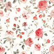 roses pattern, beautiful roses on white background .