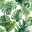 Hand drawn watercolor seamless pattern with tropical leaves.