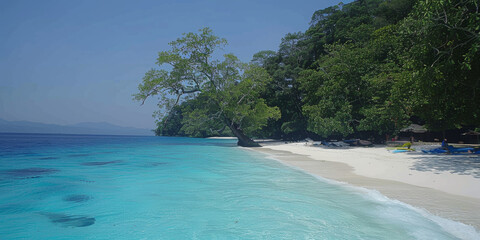 Wall Mural - A beautiful beach with a tree in the middle of it