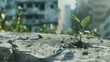 A seedling breaking through concrete, its delicate shoots symbolizing the resilience of nature and the human spirit in the face of urbanization and industrialization