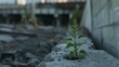 A seedling breaking through concrete, its delicate shoots symbolizing the resilience of nature and the human spirit in the face of urbanization and industrialization