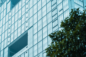 Wall Mural - Modern building facade; Close-up of office building