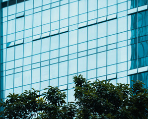 Wall Mural - Modern building facade; Close-up of office building