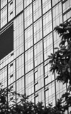Fototapeta Do przedpokoju - Modern building facade; Close-up of office building; black and white
