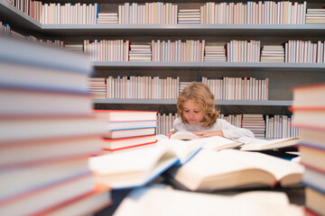 Aufkleber - Serious hard working pupil. School child studying in school library. Kid reading book in library on bookshelf background.