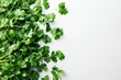 © Electro Unicorn - Lovely green herb bundle with coriander, a vegetable top off, and spice sprigs for seasoning set over a white setting soothing herbs and space, Generative AI.