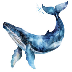 Wall Mural - The blue whale is the largest animal ever known to have existed on Earth.