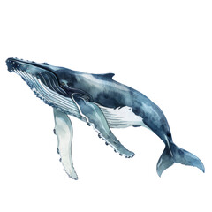 The blue whale is the largest animal ever known to have existed on Earth.