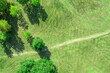 summer landscape with green grass, trees and footpath at sunny day. aerial top view.