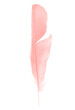 Beautiful soft light pink feather isolated pastel on white background