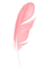 Wall Mural - Beautiful soft light pink feather isolated pastel on white background