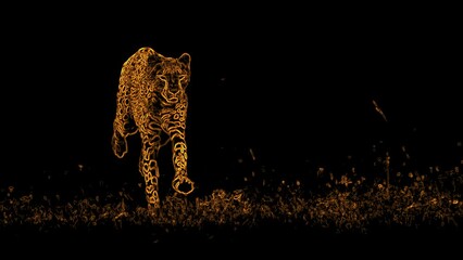 Wall Mural - amazing front view of cheetah running super slow motion