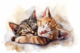 Fototapeta Londyn - water color of baby cats on a while paper background, illustration painting.