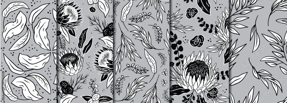 5 Black and white seamless patterns set with line art protea flowers ...