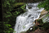 Fototapeta Zwierzęta - An upper part of the Szklarka Waterfall, the waterfall in the Polish part of The Karkonosze Mountains falling from a rocky wall in the forest