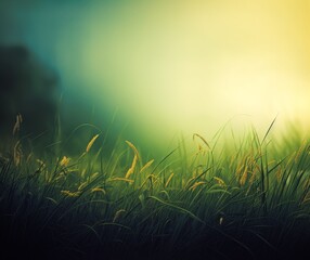 Wall Mural - Serene Sunrise over Dewy Meadow Grass Field Nature Background