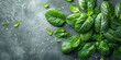 Close-up of fresh green spinach leaves on a gray textured background with copy space.