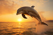 Dolphin at outdoors in wildlife. Animal