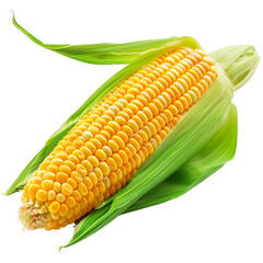 Wall Mural - Corn on the cob, transparent background, isolated image, generative AI