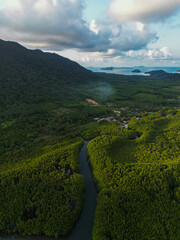 Wall Mural - Aerial view green tropical mangrove junction forest to the sea bay