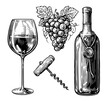 Wine concept. Bottle, glass with wine drink, corkscrew and grapes. Clipart sketch drawing set