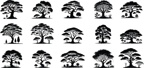 silhouette tree line drawing set, Side view, set of graphics trees elements outline symbol for architecture and landscape design drawing. Vector illustration in stroke fill in white. Tropical