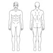 © Marina Storm - Man body front and back view vector illustration. Isolated outline line contour template human without clothes. Anatomy of healthy male body shapes. male figure vector human body in linear style.