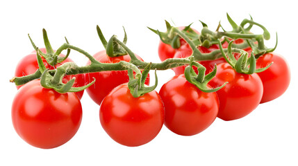 Wall Mural - Fresh delicious tomatoes on branch,on white background
