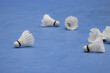 A group of badminton Shuttlecocks are scattered on a blue court. The Shuttlecocks are laying on the ground. Concept of training badminton with playfulness and leisure
